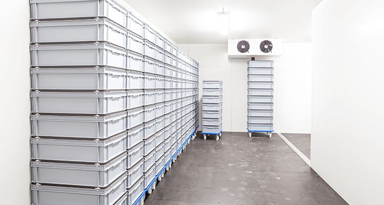 Pharmaceutical cold room — GMP-validated cold storage Pakistan