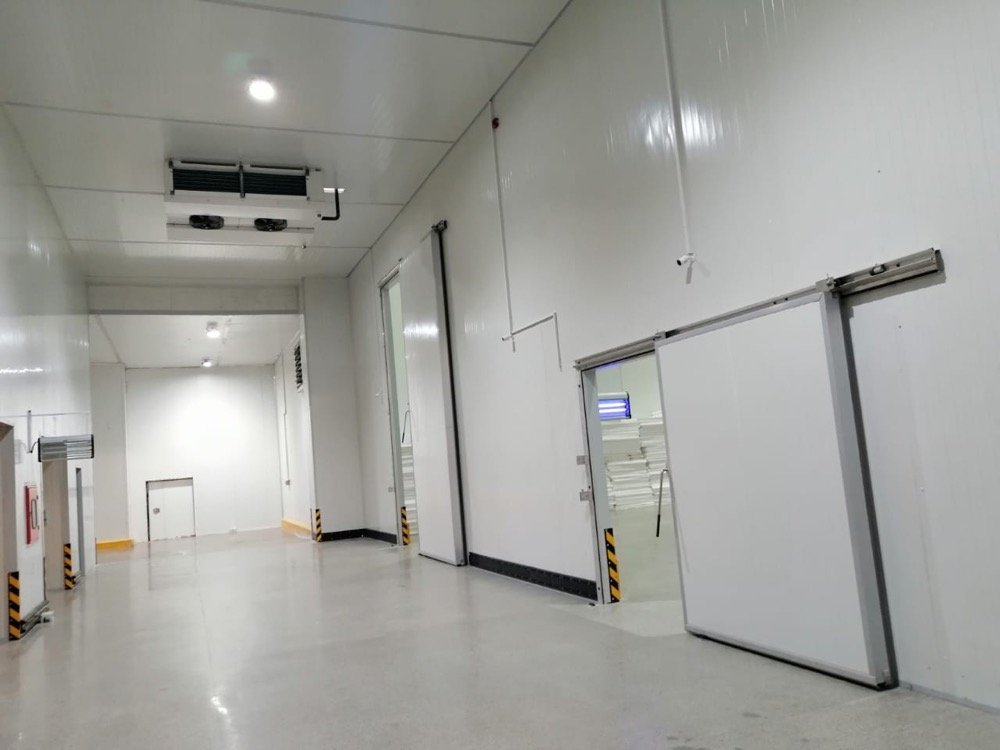 Construction-stage view inside Connect Logistics 3PL cold storage Karachi — exposed steel frame and PIR cladding installation