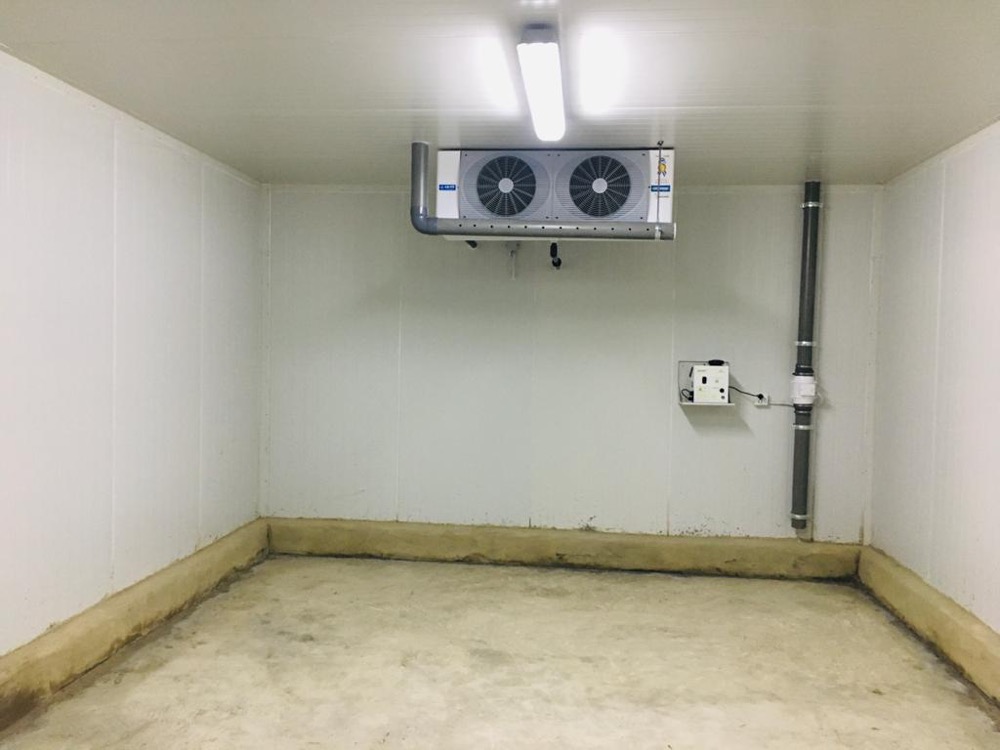 Banana ripening room interior in Sindh — PIR-clad walls and ceiling, dual-fan ceiling-mounted evaporator, refrigerant return line, ethylene injection control panel, USAID-funded cold-chain installation by Izhar Foster