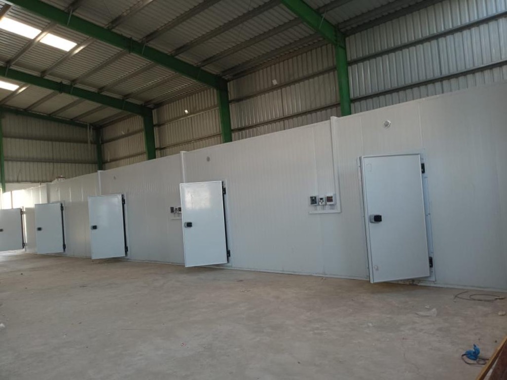 Banana ripening cold storage room interior, Sindh, Pakistan — PIR sandwich panel walls under industrial cold-room lighting