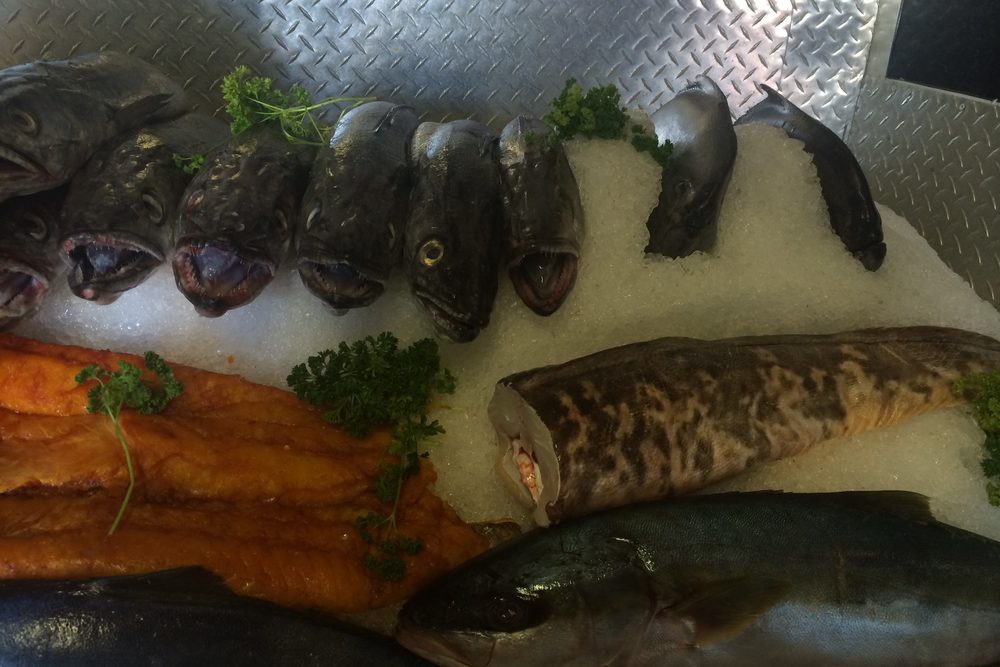 Fresh fish held cold on ice — the firm, bright, full-grade quality that holding the catch at 0–4°C protects
