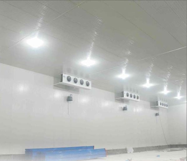 Medium-size cold store interior with ceiling-mounted evaporators and FireSafe PIR panel envelope