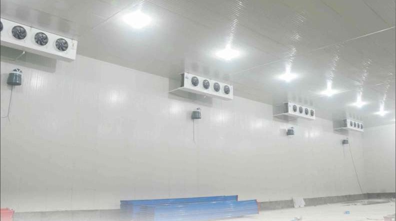 Industrial cold store interior with ceiling evaporators and FireSafe PIR panels