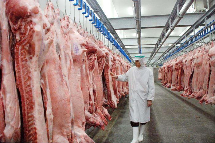 Meat Cold Storage in Pakistan