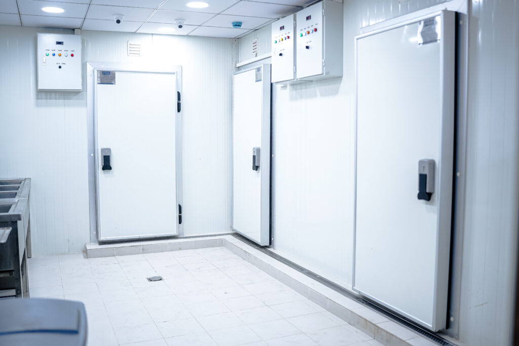 Freezer Cold Storage
